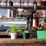 Little Skips Outpost Cafe in Bushwick